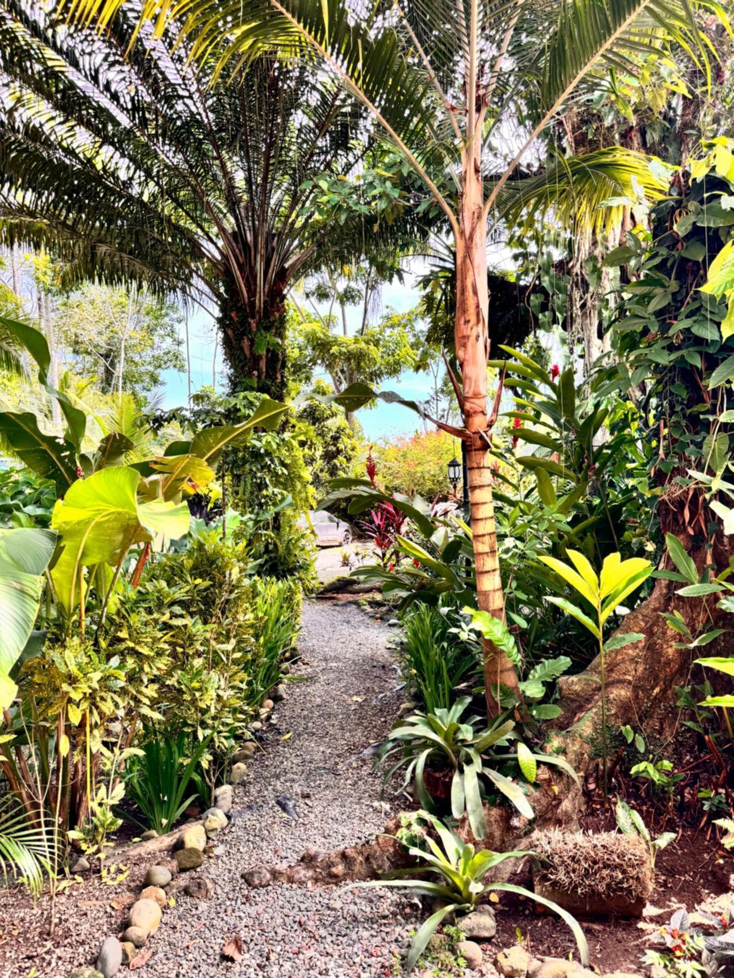 Chilamate Holiday House Puerto Viejo de Talamanca Экстерьер фото