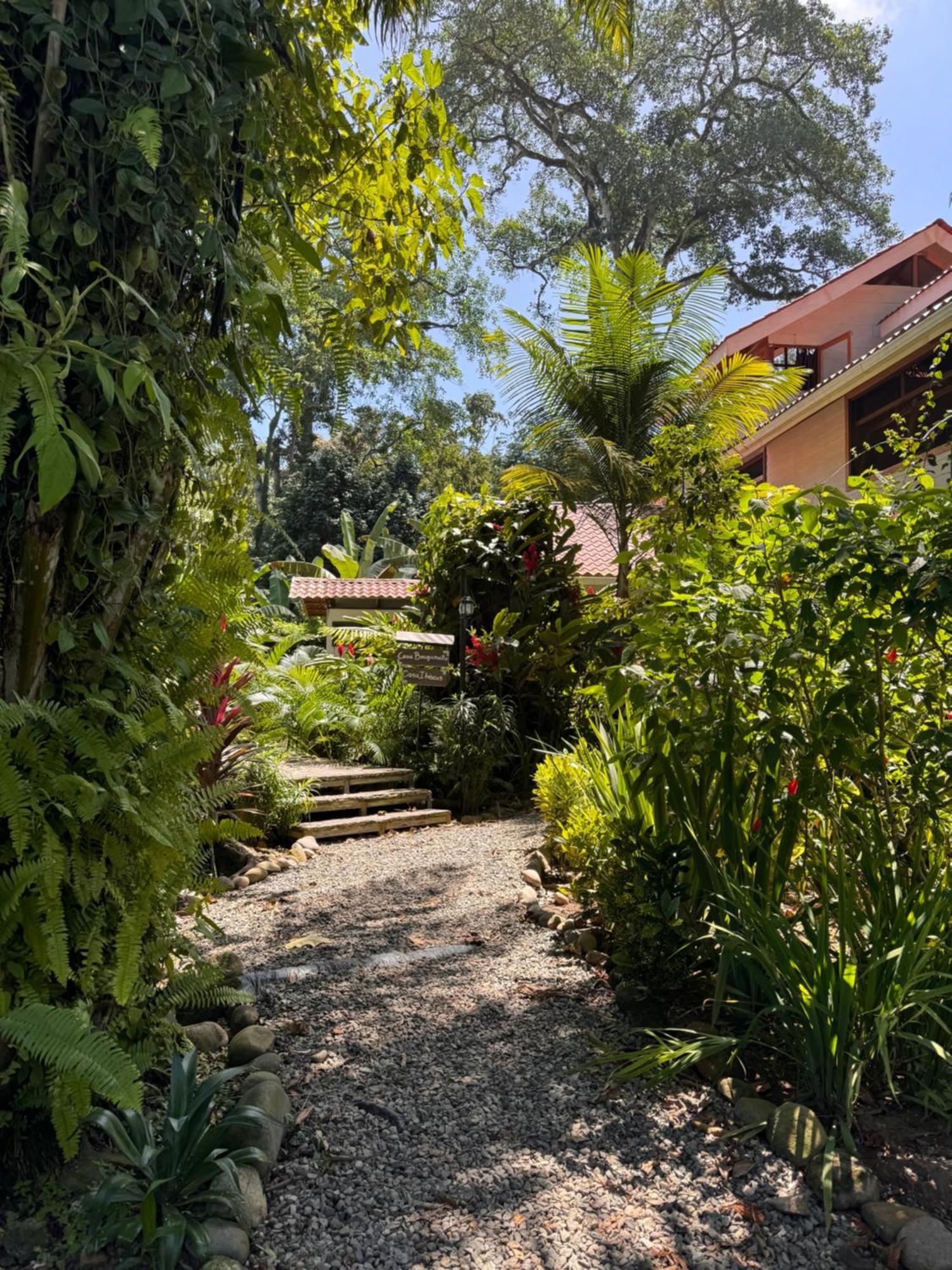 Chilamate Holiday House Puerto Viejo de Talamanca Экстерьер фото